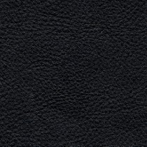 7517 Black