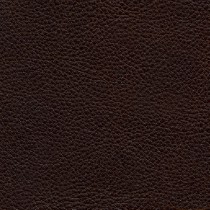 7649 Cocoa