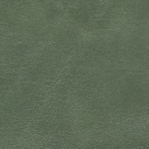 Meadow