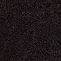 7482 Coffee