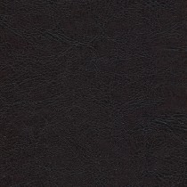7365 TEAK