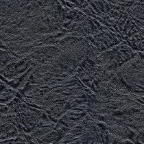 7386 CARBON